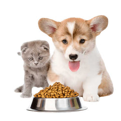 Collection image for: Pet Food