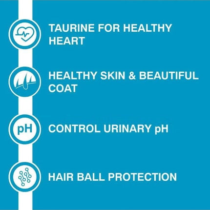 Kitten Dry Cat Food Ocean Fish 3Kg