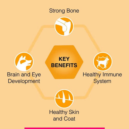 Premium Puppy Dry Dog Food Real Chicken 4Kg