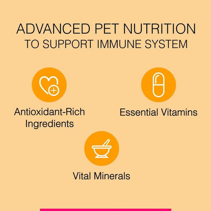 Premium Puppy Dry Dog Food Real Chicken 4Kg